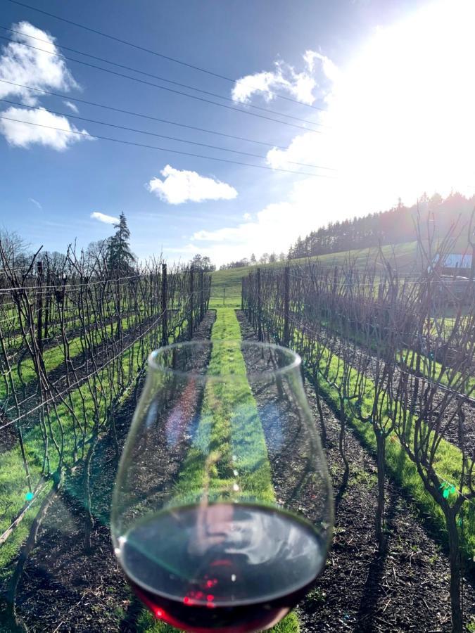 ניוברג The Setting Inn Willamette Valley מראה חיצוני תמונה