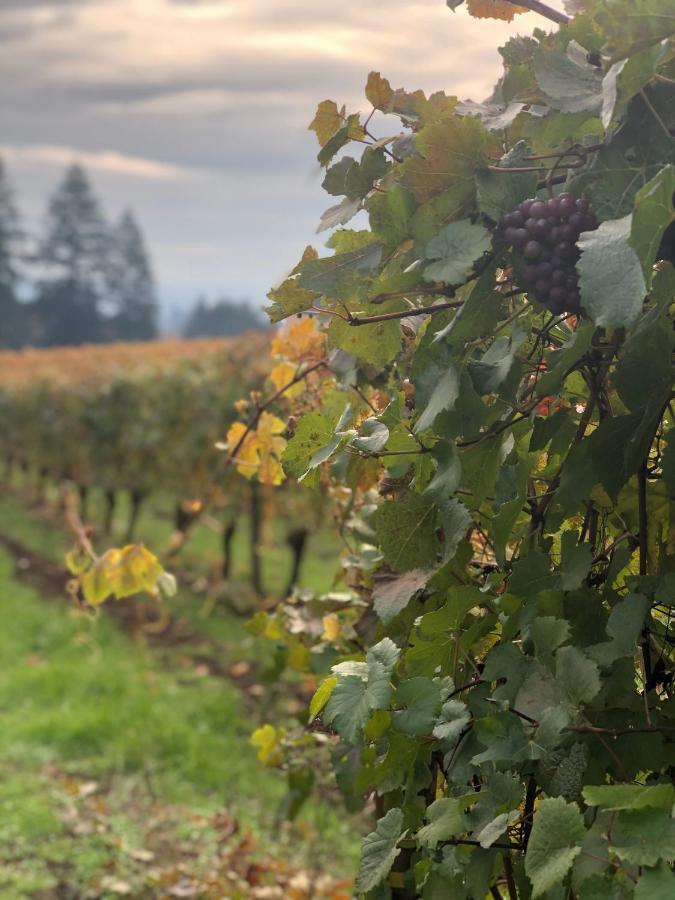 ניוברג The Setting Inn Willamette Valley מראה חיצוני תמונה